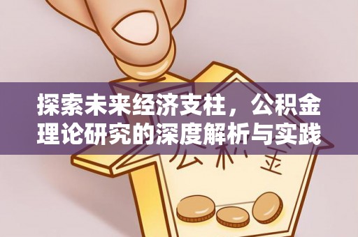 土库探索未来经济支柱，公积金理论研究的深度解析与实践意义