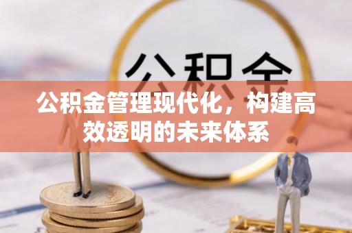 土库公积金管理现代化，构建高效透明的未来体系