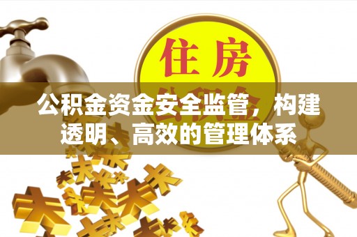 土库公积金资金安全监管，构建透明、高效的管理体系