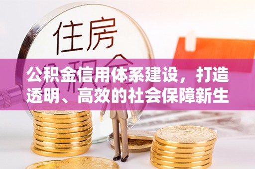 土库公积金信用体系建设，打造透明、高效的社会保障新生态