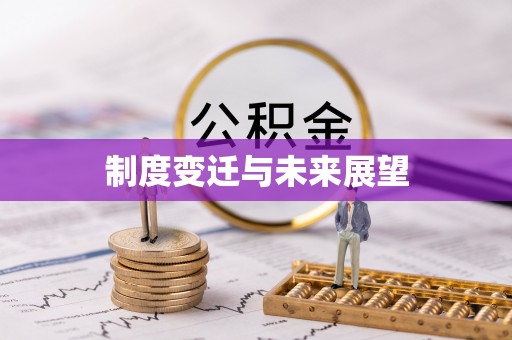 土库制度变迁与未来展望