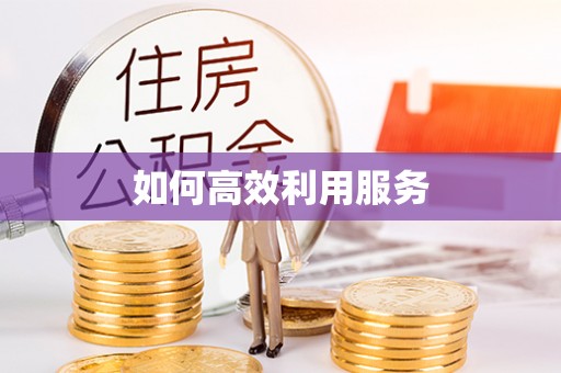 土库如何高效利用服务