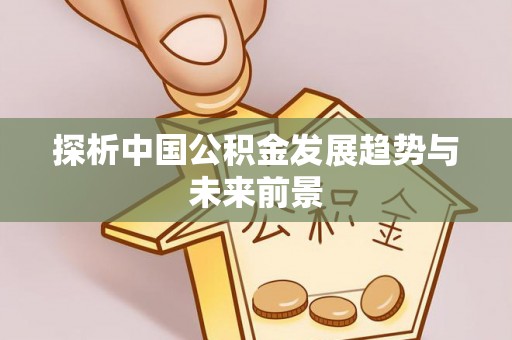 土库探析中国公积金发展趋势与未来前景