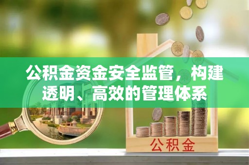 土库公积金资金安全监管，构建透明、高效的管理体系