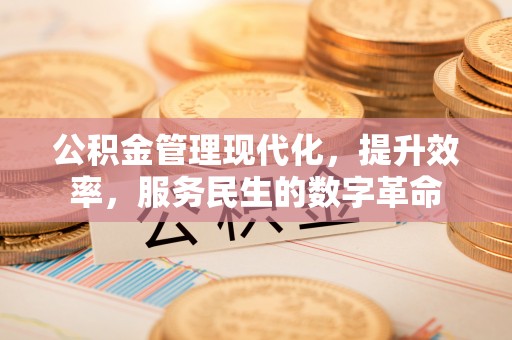 土库公积金管理现代化，提升效率，服务民生的数字革命