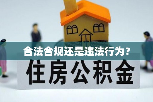 土库合法合规还是违法行为？