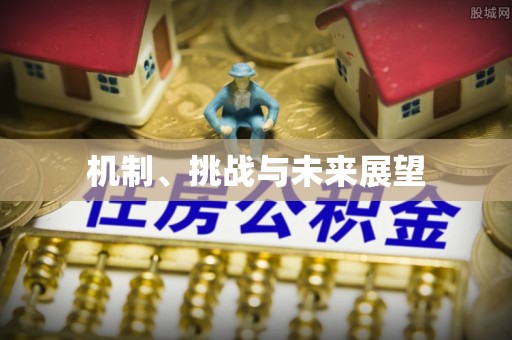 土库机制、挑战与未来展望